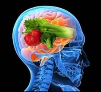 Nutrients for brain health.